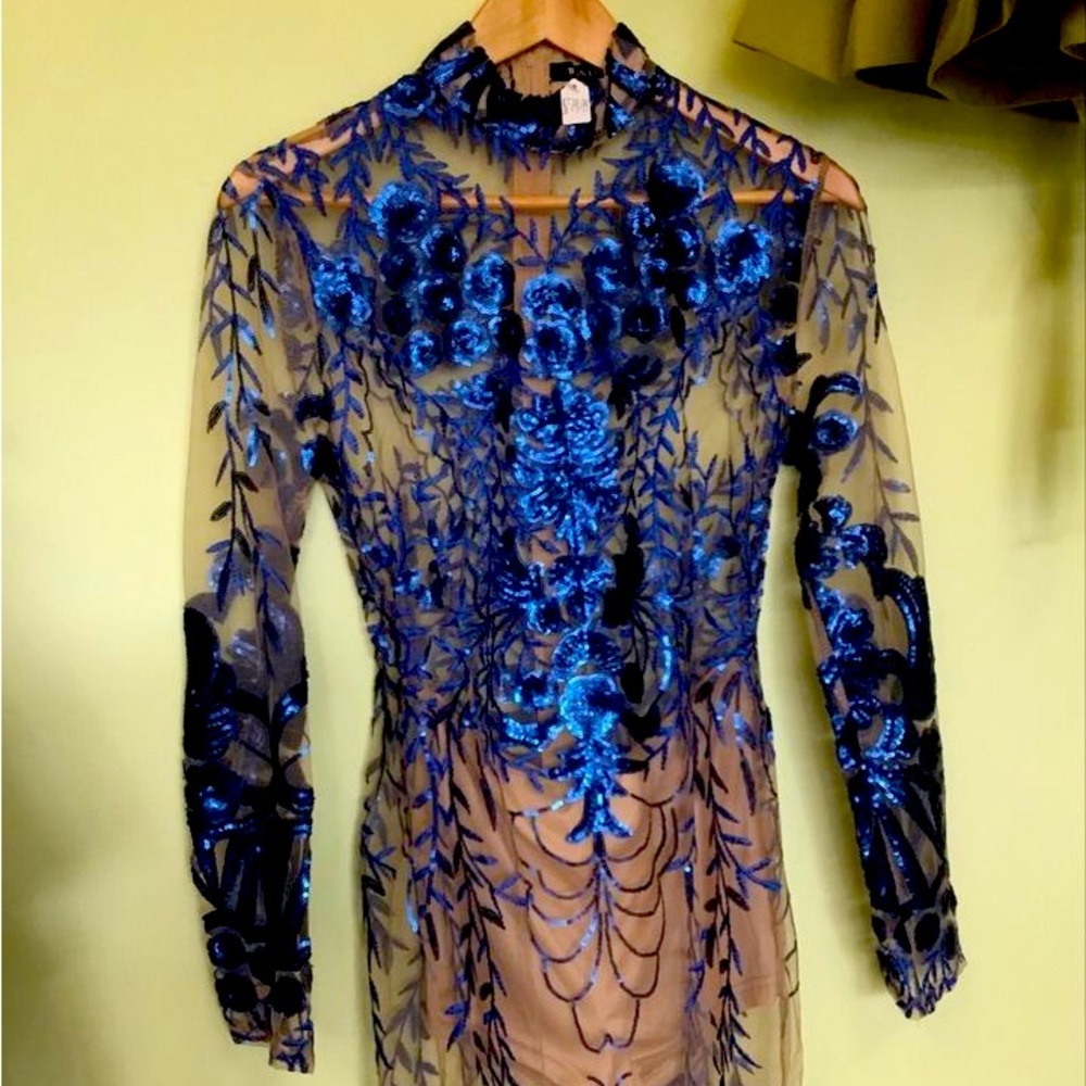 Blue Velvet Floral Sheer Bodycon Dress